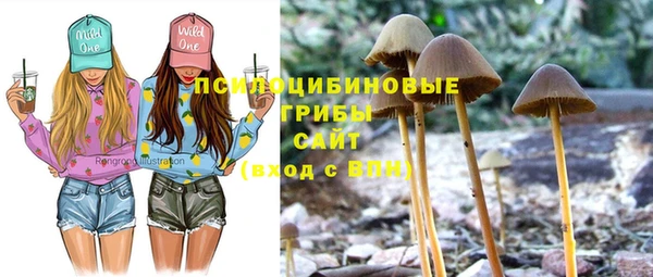 ECSTASY Абинск