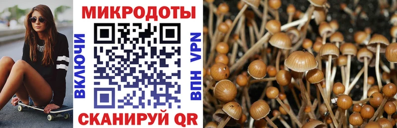Псилоцибиновые грибы ЛСД  kraken ССЫЛКА  Сертолово 